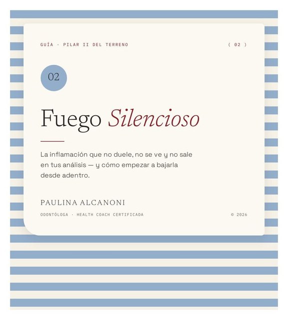 Portada de la guía Fuego Silencioso